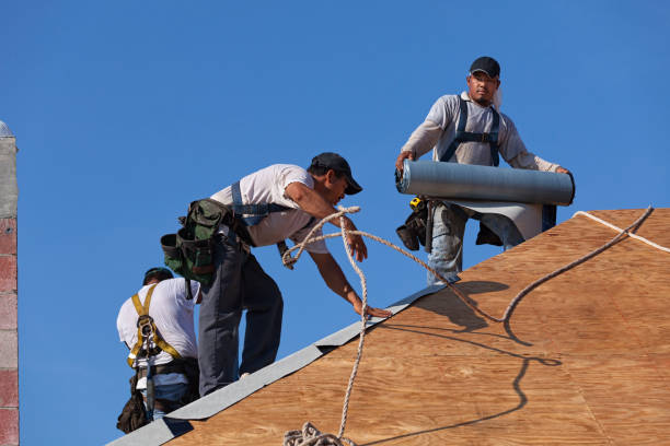 Best Roof Gutter Cleaning  in Kensington, NY